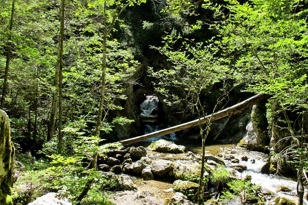 52 der letzte Tunnel bevor wir wieder aus der Schlucht herausen sind.jpg